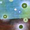 MICRO MEADOW 02