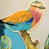 SHRINE: DETAIL