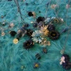 OCEAN SCENE 27