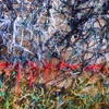 FENCE