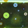 MICRO MEADOW 06