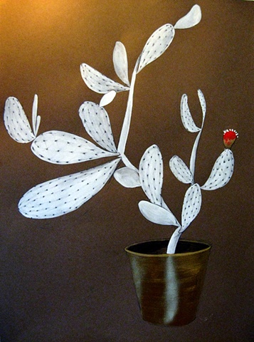 Series: Succulents in Captivity