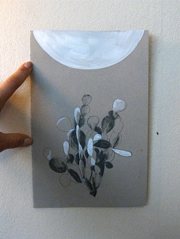 Series: Succulents in Captivity