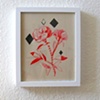 Diamondflower
