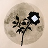 Ink Drawings