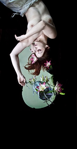 Water Lily Dreaming