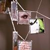 Web (detail) 
