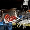 Still Lifes