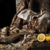Still Life with Rainbow Trout