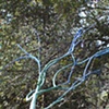 branching out