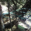 branching out