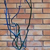 branching out