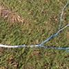 groundscore
