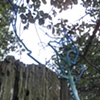 branching out 