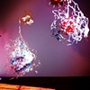 Macro/Micro 5