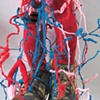 detail, One: A Heart Healthy Decision