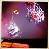Macro/Micro 2