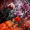 Macro/Micro 7