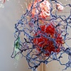 Macro Micro