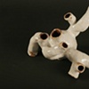 Biomorphic