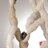 detail, Solar Cephalopod