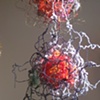 Macro/Micro 3