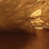 Veiled #7