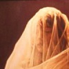 Veiled # 14