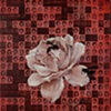 Women and Children First (2008-2009)
