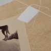 In July (detail)