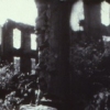 Untitled (detail)