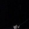 Receiver, 2009
