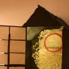 Calendar, 2006