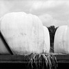 Putney, VT 2003
