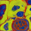 Marbling Works
