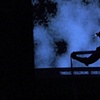 Receiver, 2009