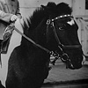 Julia vs. The Big Bad Pony