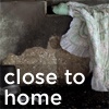 Close to Home