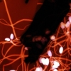 Love is Like Falling