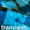 Transient