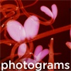 Photograms