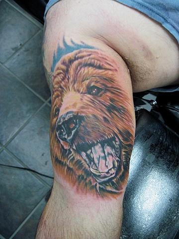 Realistic, Fully Healed, Ryan W Thomas, Ryan Thomas, Tattoos By Ryan Thomas, Black and Gray tattoos, Full Color tattoos, tattoos, animal portrait tattoo, animal tattoo, animal portrait, bear portrait, bear tattoo, bear portrait tattoo
