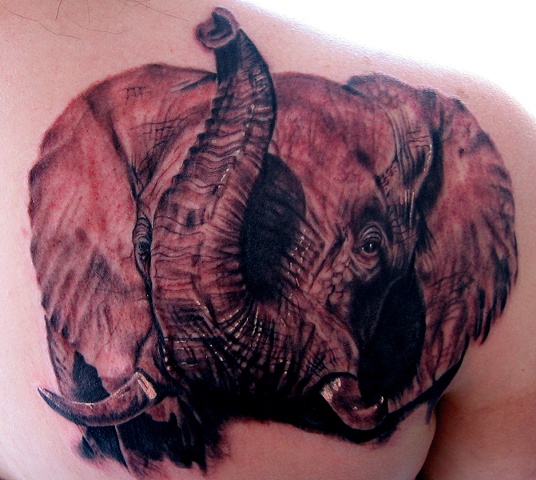 Elephant