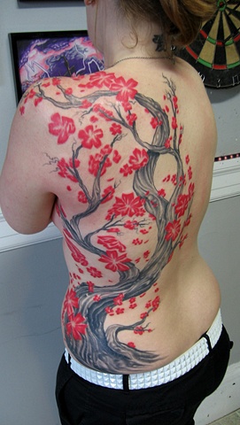 Cherry Blossoms