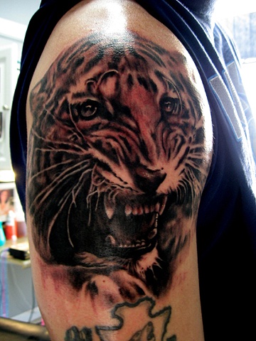 Tiger