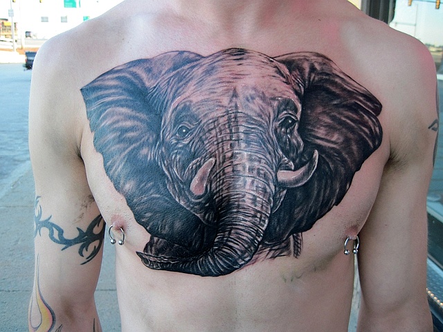 Elephant Chest Piece