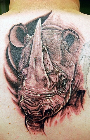 Rhino