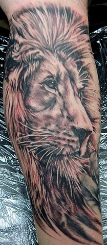 Lion Portrait