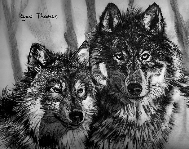 Wolves