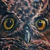 Owl Tattoo